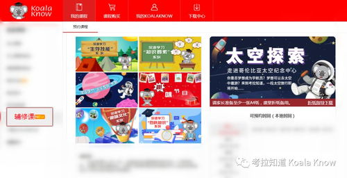 全城华人家长都可以免费领取的福利 我们邀请您的宝贝来做小小体验官 免费试课 5节特色课程免费送