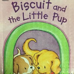 小空间，大世界 走进Ethan的“小小电台”