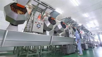 当工厂的日常超出想象 六个核桃、卫龙与老干妈的独特制造之路